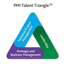 PMI Triangle